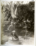 Brookgreen Gardens Sculpture Photograph Collection - Accession 1543
