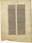 Folio Bible- Med MS 4B