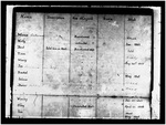 Windsor and Kensington Plantations Diary - Accession 807 by Windsor Plantation, Kensington Plantation, John Beaufain Irving, Plantations, and Slavery