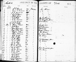 York County Voter Registration Book - Accession 852