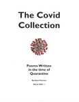 Susan Pascucci Poetry Collection - Accession 1825 M858 (916) by Susan Osman Pascucci