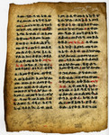 Ethiopian, Modern in Medieval Style- Med MS 20B by Unknown