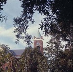 View of Tillman Administration Building Through the Trees, 1969 by Winthrop University